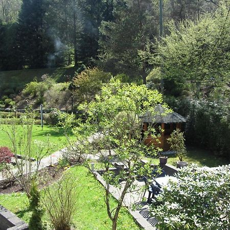Pension Zum Rothaarsteig Netphen ภายนอก รูปภาพ