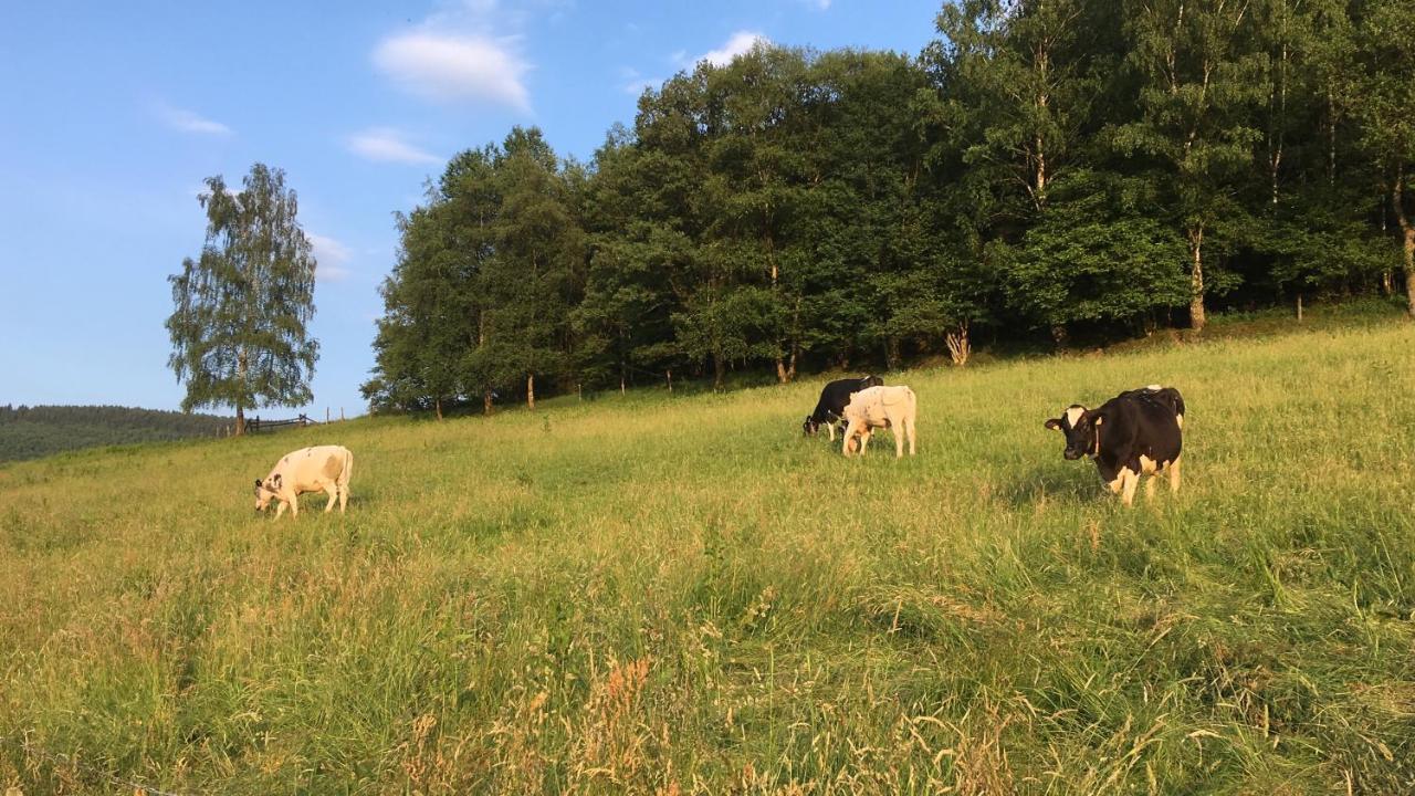 Pension Zum Rothaarsteig Netphen ภายนอก รูปภาพ