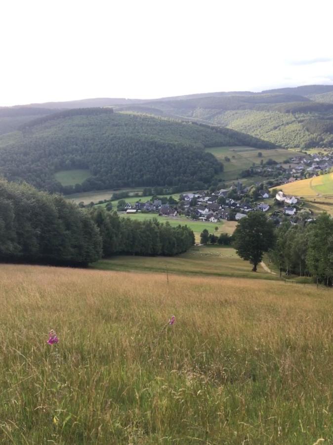 Pension Zum Rothaarsteig Netphen ภายนอก รูปภาพ