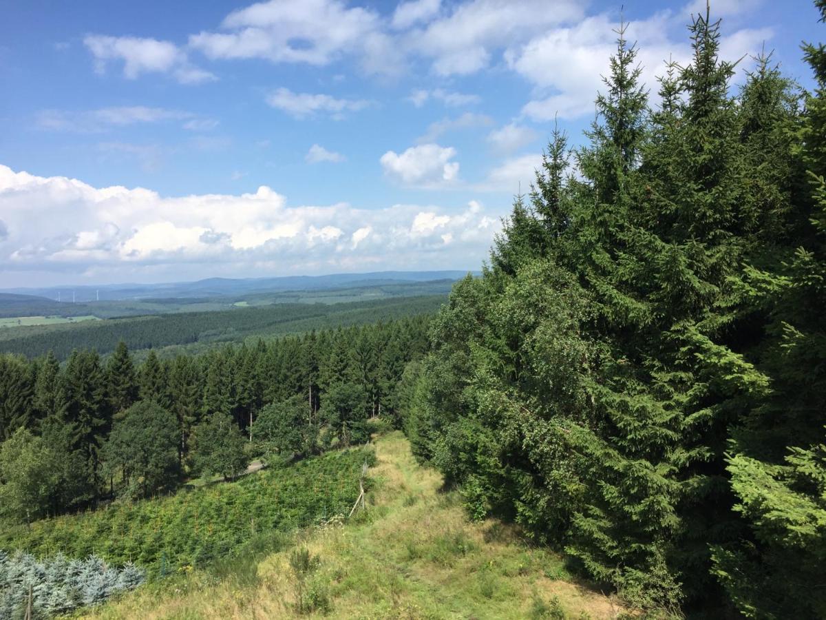 Pension Zum Rothaarsteig Netphen ภายนอก รูปภาพ