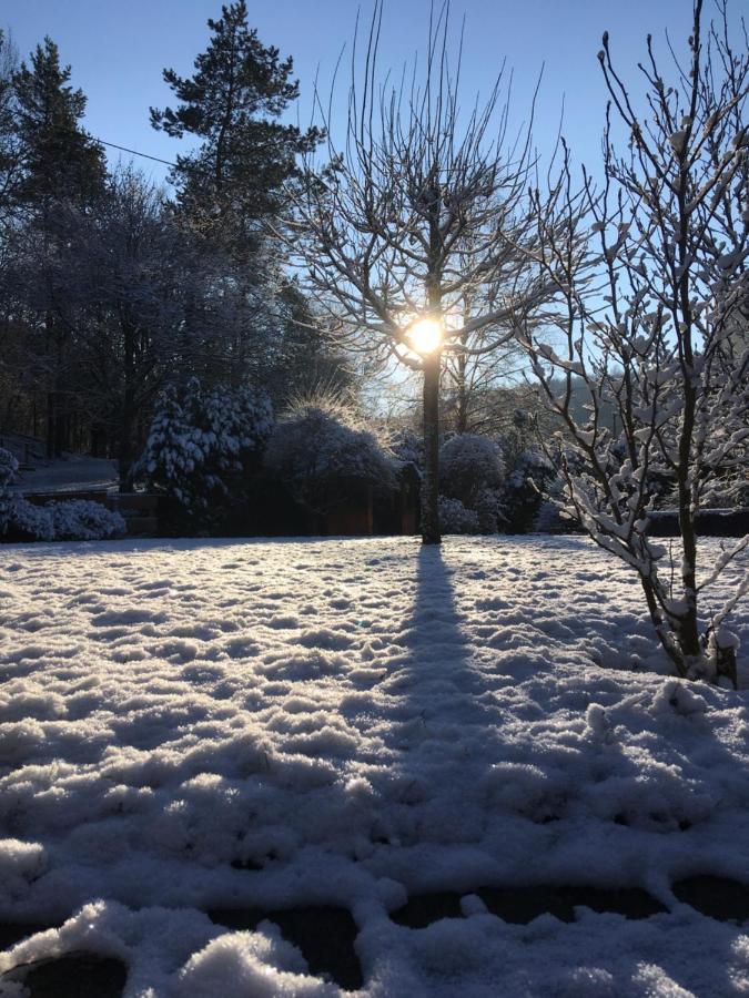 Pension Zum Rothaarsteig Netphen ภายนอก รูปภาพ