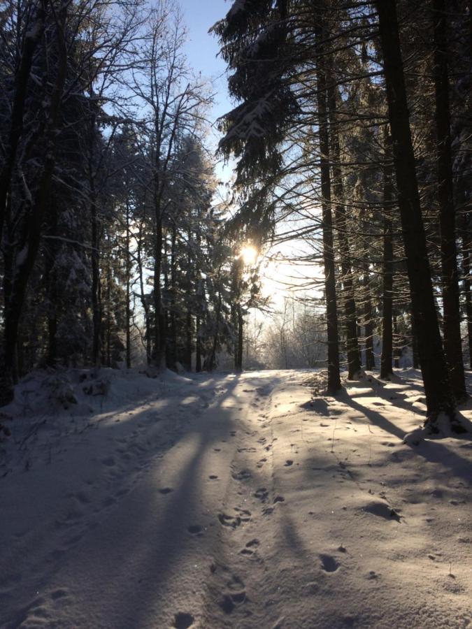 Pension Zum Rothaarsteig Netphen ภายนอก รูปภาพ